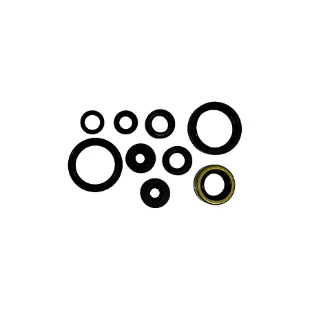 Kit de retentores de motor Red Dragon Kawasaki KXF 250 - 2006/2016