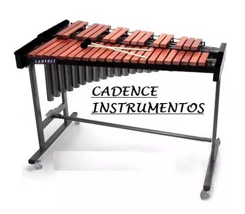 Xilofone de Estudo Cadence 37 Teclas s/ Suporte