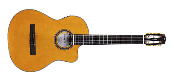 Violao Michael VMR 250 FL
