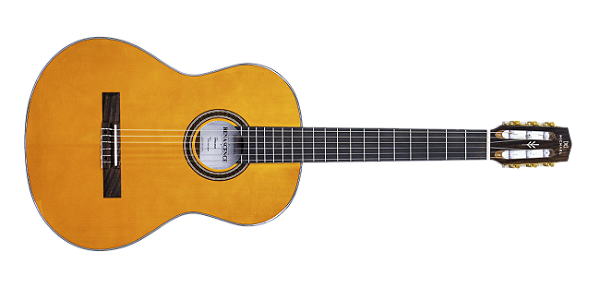 Violao Michael VMR 250