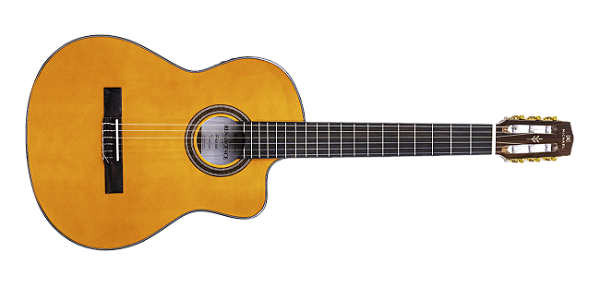 Violao Michael VMR 250 CE