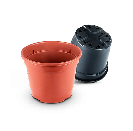 100 Vasos Pote 20 De 3 Litros Mudas Rosa Do Deserto E Flores marrom