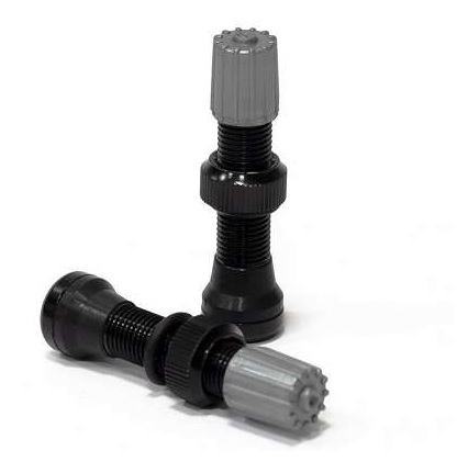 Valvula Bico Grosso Para Tubeless Selante Absolute Schrader Pto
