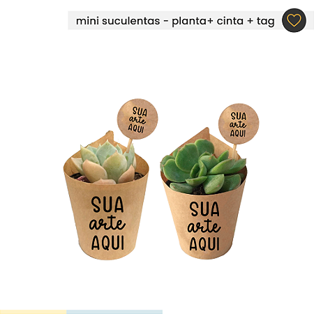 Mini suculentas com cinta + tag