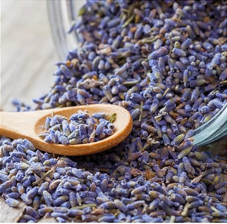 Alfazema / lavanda