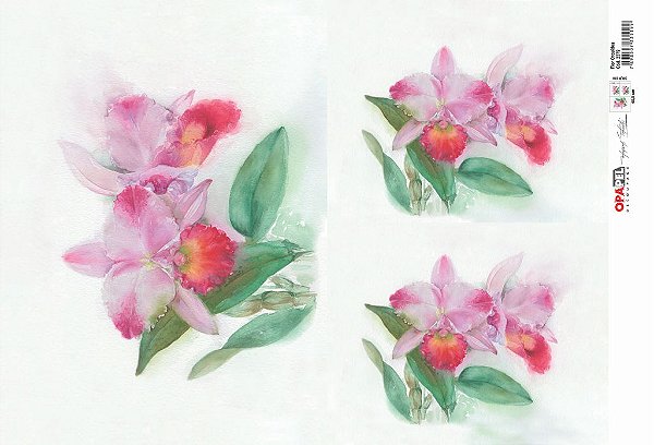 OPAPEL 30X45 FLOR ORQUÍDEA – 2379