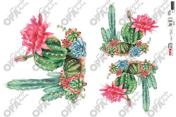 OPAPEL 30X45 – Plantas Cactos I – 2567