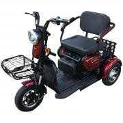 TRICICLO ELETRICO ZUB DUOS BAT 20AH
