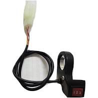 CHAVE DIREITA (ACELERADOR COM CONTROLADOR DE VELOCIDADE) ORIGINAL BIKE ELÉTRICA SOUSA