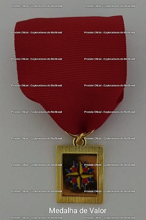 Medalha de Reconhecimento - Exploradores do Rei Brasil