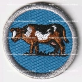 Criação de Animais