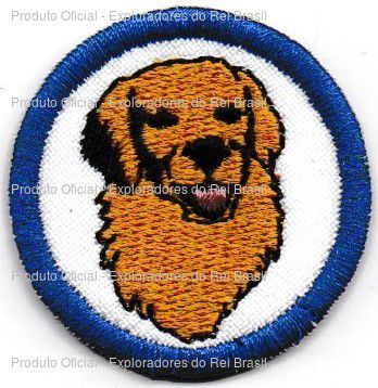 Cuidados com o Cachorro