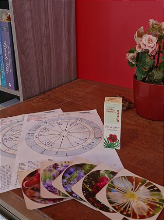 Oficina alquímica floral (Fórmula Pessoal)