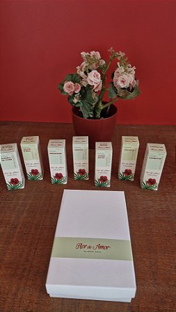 Kit Inicial Terapeuta Floral