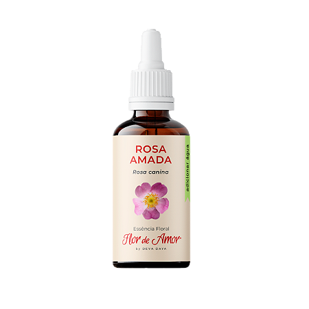 Rosa Amada Essência Floral Tomar