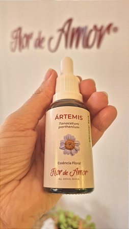 Ártemis Floral Tomar
