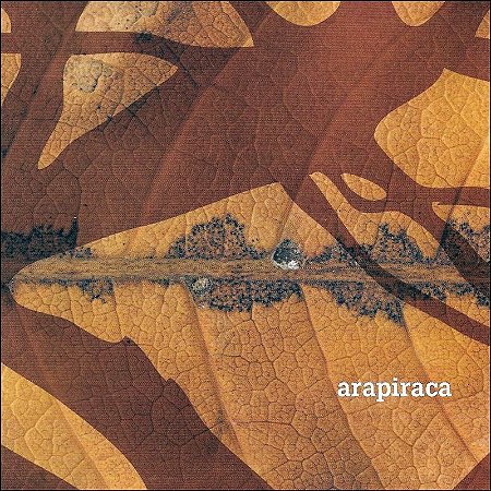 ARAPIRACA - Trava Língua