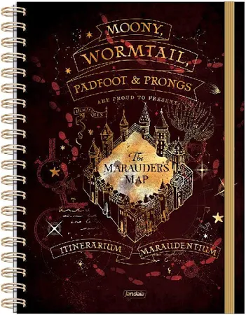 Caderno Universitário NEO Harry Potter 80 Folhas JandaIA Com Inteligência Artificial