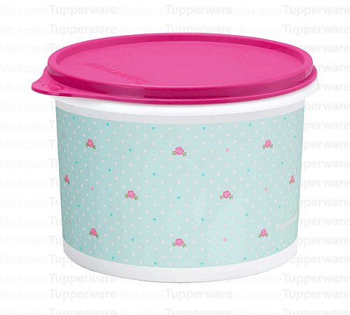 TUPPERWARE CAIXA PROVENÇAL 1,1L