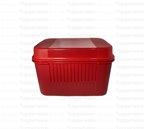 TUPPERWARE VISUAL BOX COM BANDEJA 4,5L