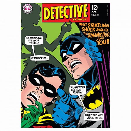 Quadro Tela batman robin detective colorido 50x70