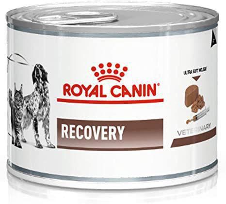 Ração Royal Canin Lata Canine e Feline Veterinary Recovery - 195g