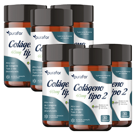 Colágeno Tipo 2 40mg - 30 Cápsulas - 6 Unidades