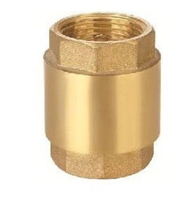 Válvula de Retenção Vertical 2 1/2"