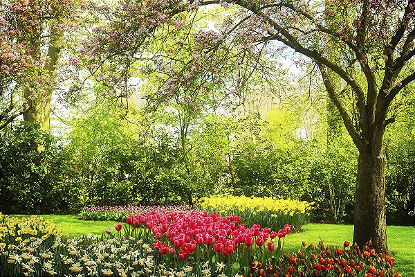 Painel de Aniversário em Tecido Sublimado Lindo Jardim das Tulipas