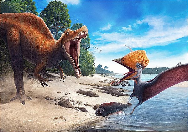 Painel de Festa em Tecido Sublimado 3d Dinossauros Rio