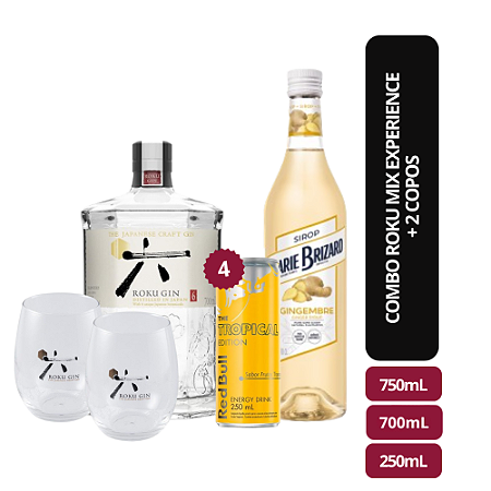 Combo Roku Mix Experience +  2 copos