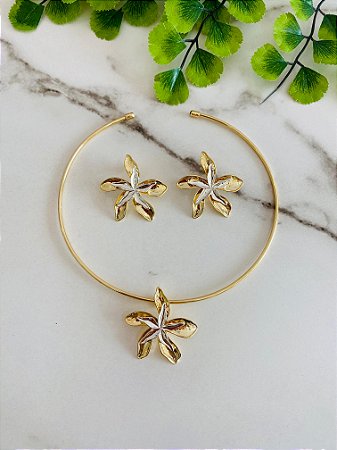 Conjunto Aro Estrela dois Banhos