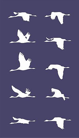 Pássaros 07 - stencil 25 x 16 cm