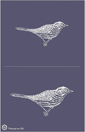 Pássaros 09 -stencil 25 x 16 cm