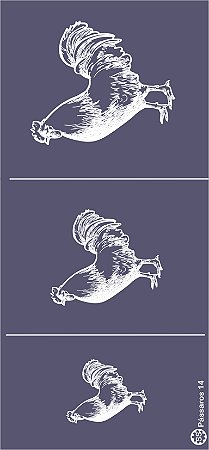 Pássaros 14