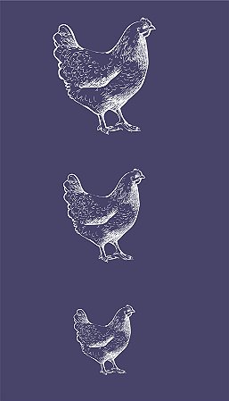Pássaros 15 - stencil 25 x 16 cm