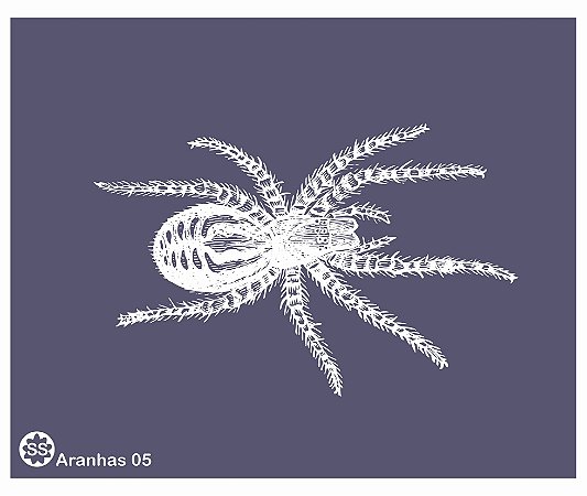 Aranhas 05 - stencil 16 x 13 cm