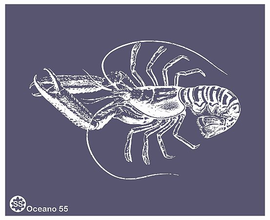 Oceano 55 - stencil 16 x 13 cm
