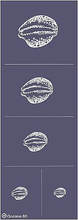 Oceano 80 - stencil 28 x 10 cm