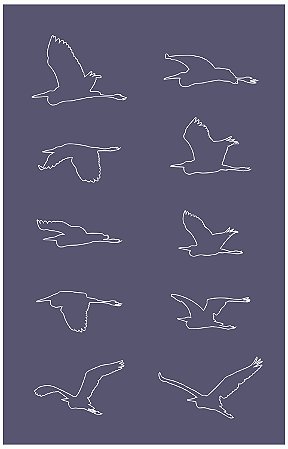 Pássaros 17 - stencil 25 x 16 cm