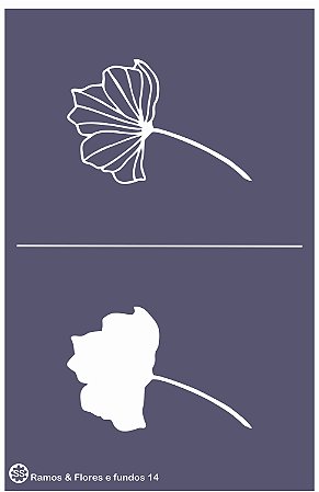 Ramos & Flores e fundos 14