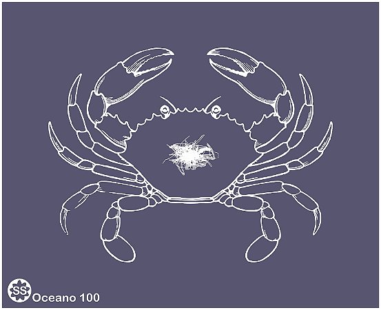 Oceano 100