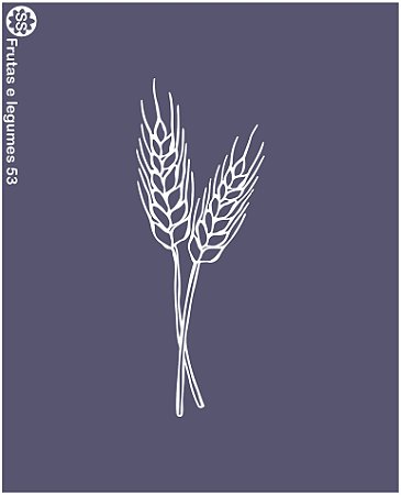Frutas - legumes - verduras 53
