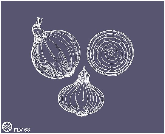 Frutas - legumes - verduras 69