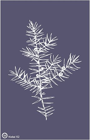 Natal 52