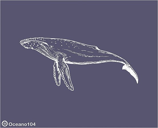 Oceano 104 - stencil 13 x 16 cm