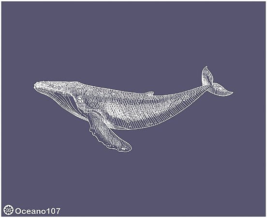 Oceano 107 - stencil 16 x 13 cm