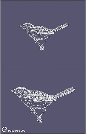 Pássaros 09a - stencil 25 x 16 cm