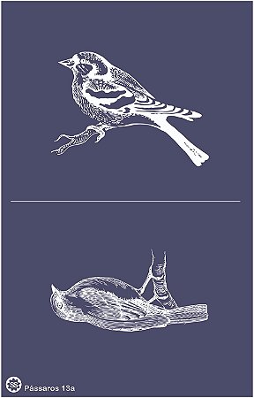 Pássaros 13a - stencil 25 x 16 cm