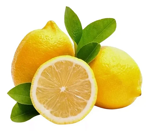 Muda De Limão Siciliano -Enxertada - No Ciclo De Produção